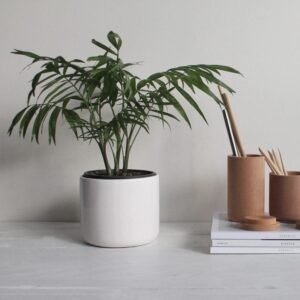 Test Product 1